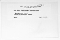 Image Associated With the Occurence